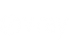 V-Ray logo wit